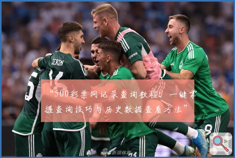 “500彩票网记录查询教程：一键掌握查询技巧与历史数据查看方法”