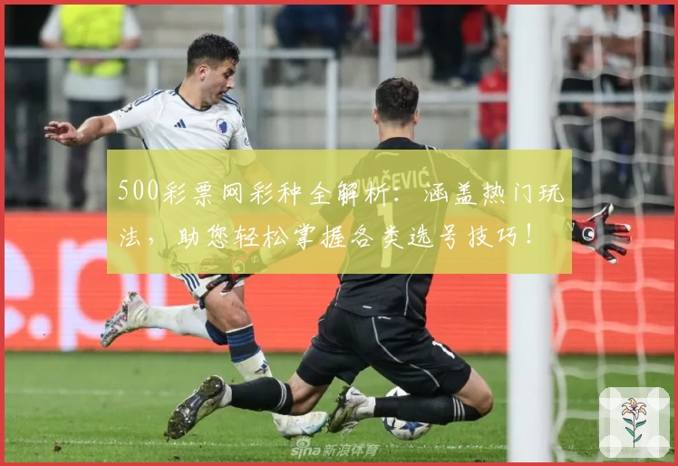 500彩票网彩种全解析：涵盖热门玩法，助您轻松掌握各类选号技巧！