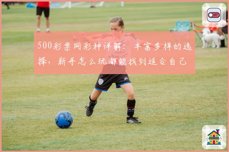 500彩票网彩种详解:丰富多样的选择,新手怎么玩都能找到适合自己的彩种