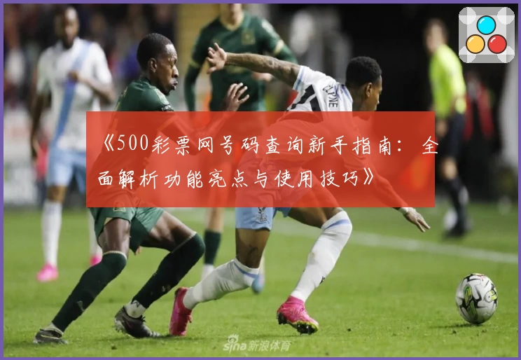 《500彩票网号码查询新手指南：全面解析功能亮点与使用技巧》