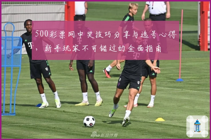 500彩票网中奖技巧分享与选号心得，新手玩家不可错过的全面指南