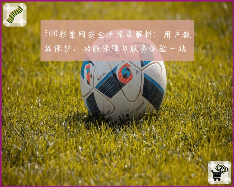 500彩票网安全性深度解析：用户数据保护、功能保障与服务体验一站了解