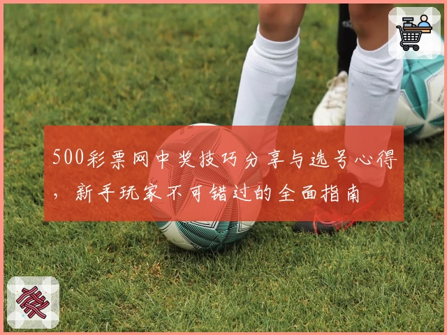 500彩票网中奖技巧分享与选号心得，新手玩家不可错过的全面指南
