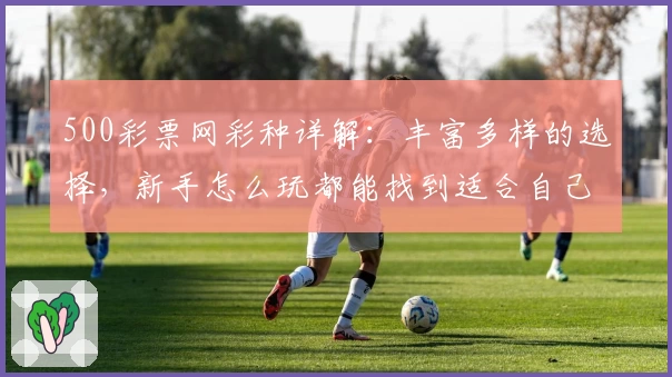 500彩票网彩种详解：丰富多样的选择，新手怎么玩都能找到适合自己的彩种